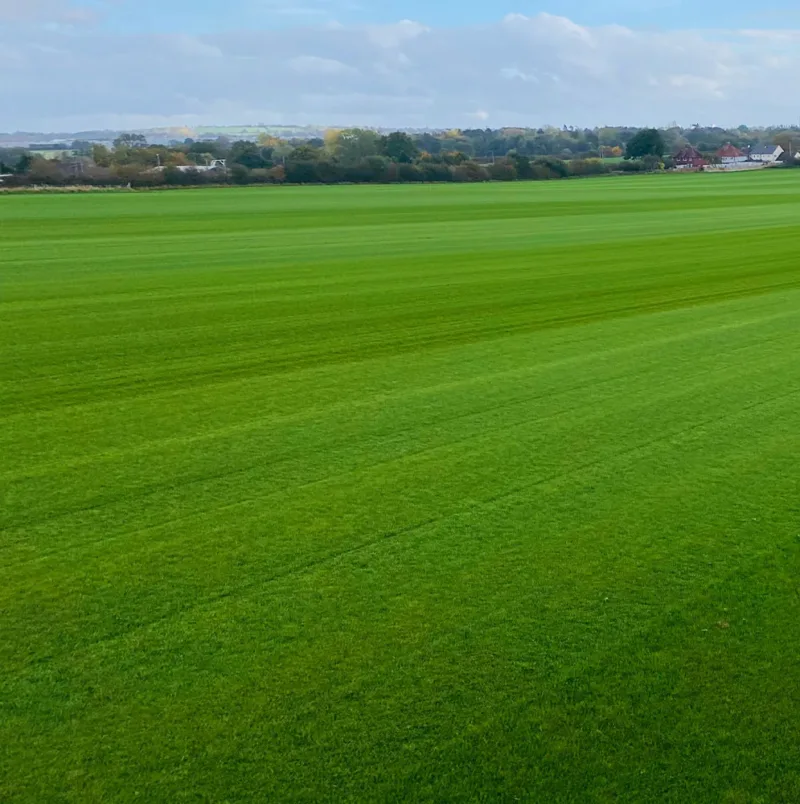 turf-turfworld-turf-roll-buy-turf-field turf-turfworld-turf-roll-buy-turf-field