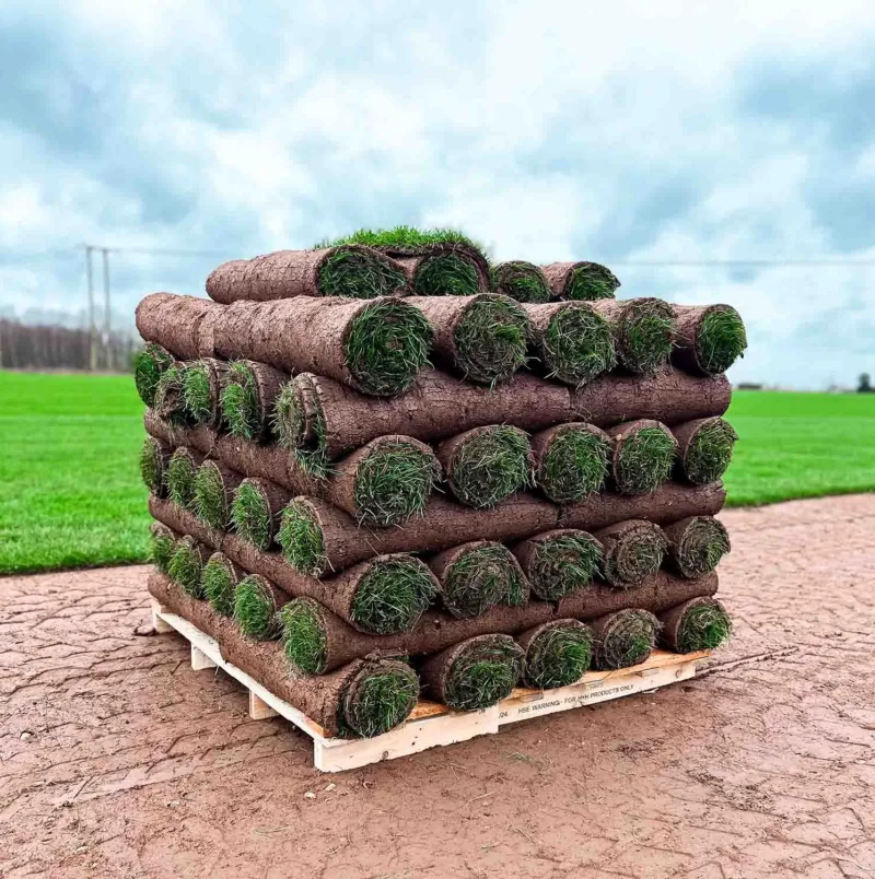 turf-turfworld-turf-roll-buy-turf-field-pallet-of-turf turf-turfworld-turf-roll-buy-turf-field-pallet-of-turf