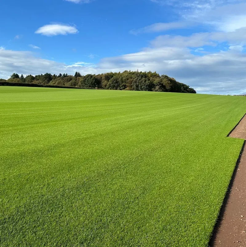 turf-turfworld-turf-roll-buy-turf-field-turf-cut turf-turfworld-turf-roll-buy-turf-field-turf-cut