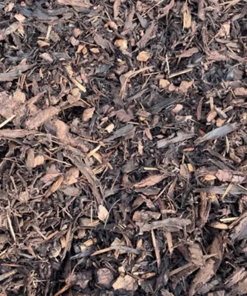 Ornamental Bark