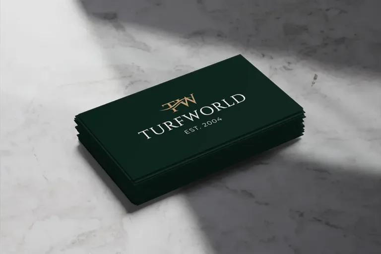 Why the Rebrand?