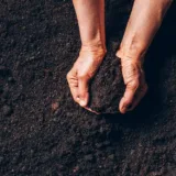 Turfworld_Top-Soil-and-Lawn-Top-Dressing