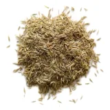 grass-seed-1-web