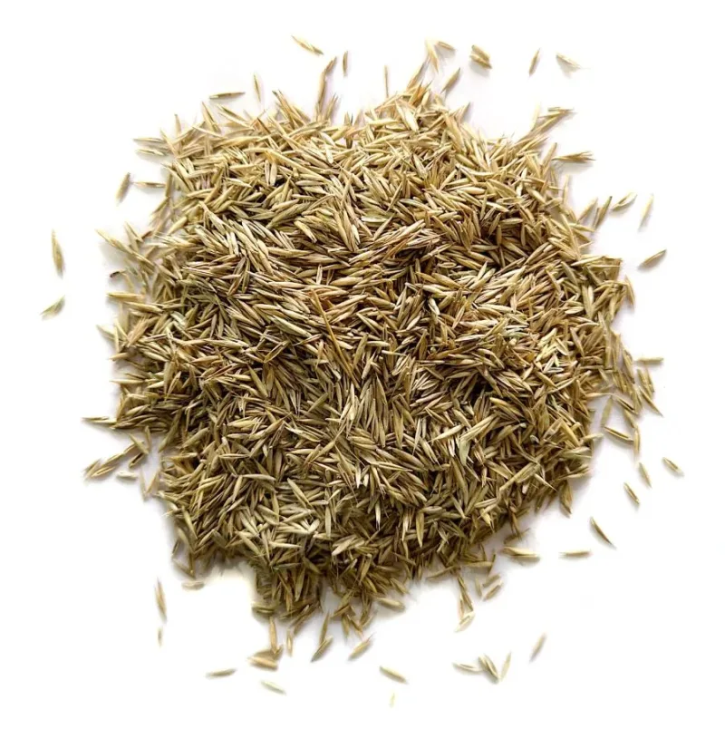 grass-seed-1-web grass-seed-1-web
